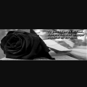 Meet your Posher, Silvia